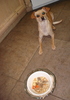 DSC01935_tn.jpg