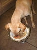 DSC01936_tn.jpg