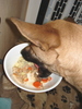 DSC01937_tn.jpg