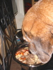 DSC01938_tn.jpg