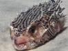 HPIM0321_tn.jpg