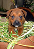 Hurley_portrait_tn.jpg
