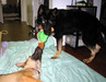 IMG_1248_tn.jpg