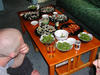 0838_gap_food_mike_tn.jpg