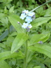 DSC00550_tn.jpg