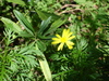 DSC00551_tn.jpg