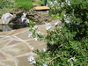 DSC00555_tn.jpg