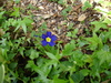 DSC00565_tn.jpg