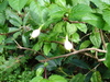 DSC00569_tn.jpg