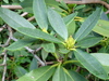 DSC00570_tn.jpg