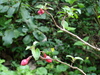DSC00573_tn.jpg