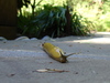 DSC00583_tn.jpg