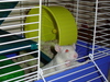 DSC00693_1_tn.jpg
