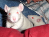 DSC00717_tn.jpg