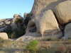 DSC01344_tn.jpg