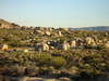 DSC01347_tn.jpg