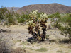 DSC01355_tn.jpg