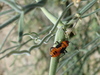 DSC01359_tn.jpg