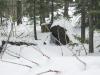 DSCN0552_tn.jpg