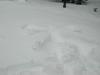 DSCN0564_tn.jpg