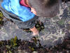DSCN1390_tn.jpg