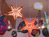 DSCN1777_tn.jpg