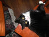 DSCN1793_tn.jpg