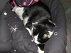 DSCN3814_tn.jpg