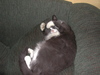 DSCN3818_tn.jpg